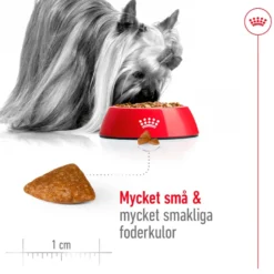X-Small Ageing 12+ Ageing Tørrfôr for hunder 1,5 kg