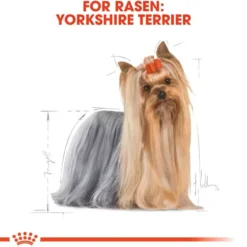 Yorkshire Terrier Adult 3 Kg