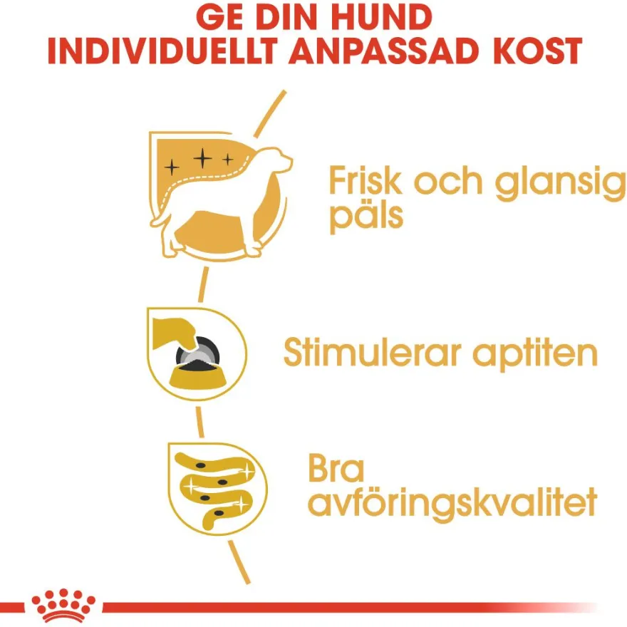 Yorkshire Terrier Adult våtfôr til hund 85 g x 12 stk