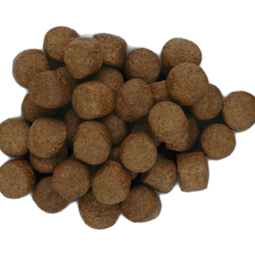 z/d Allergy & Skin Original 3kg